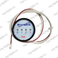 Манометр для котла Hydrosta HSG-250 SD (manomHSG250SD)