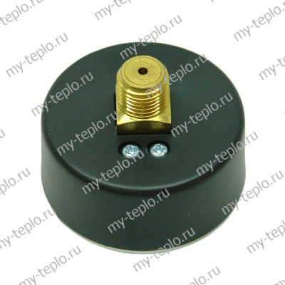 Манометр для насосной станции Джилекс Вихревик 40/40 Ч-14 (manVih4040ch14)